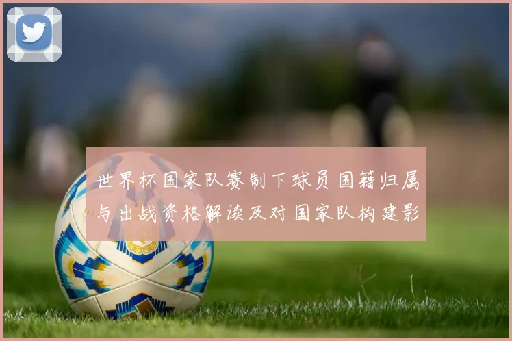 世界杯国家队赛制下球员国籍归属与出战资格解读及对国家队构建影响