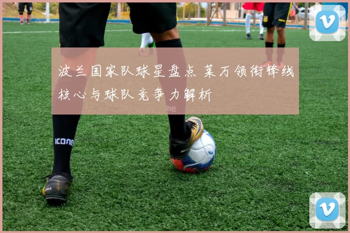 波兰国家队球星盘点 莱万领衔锋线核心与球队竞争力解析