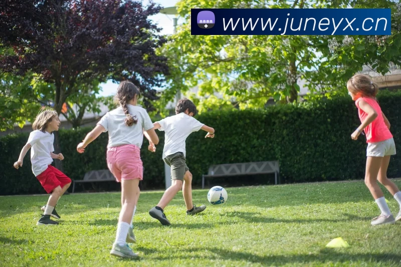 App Interface Preview